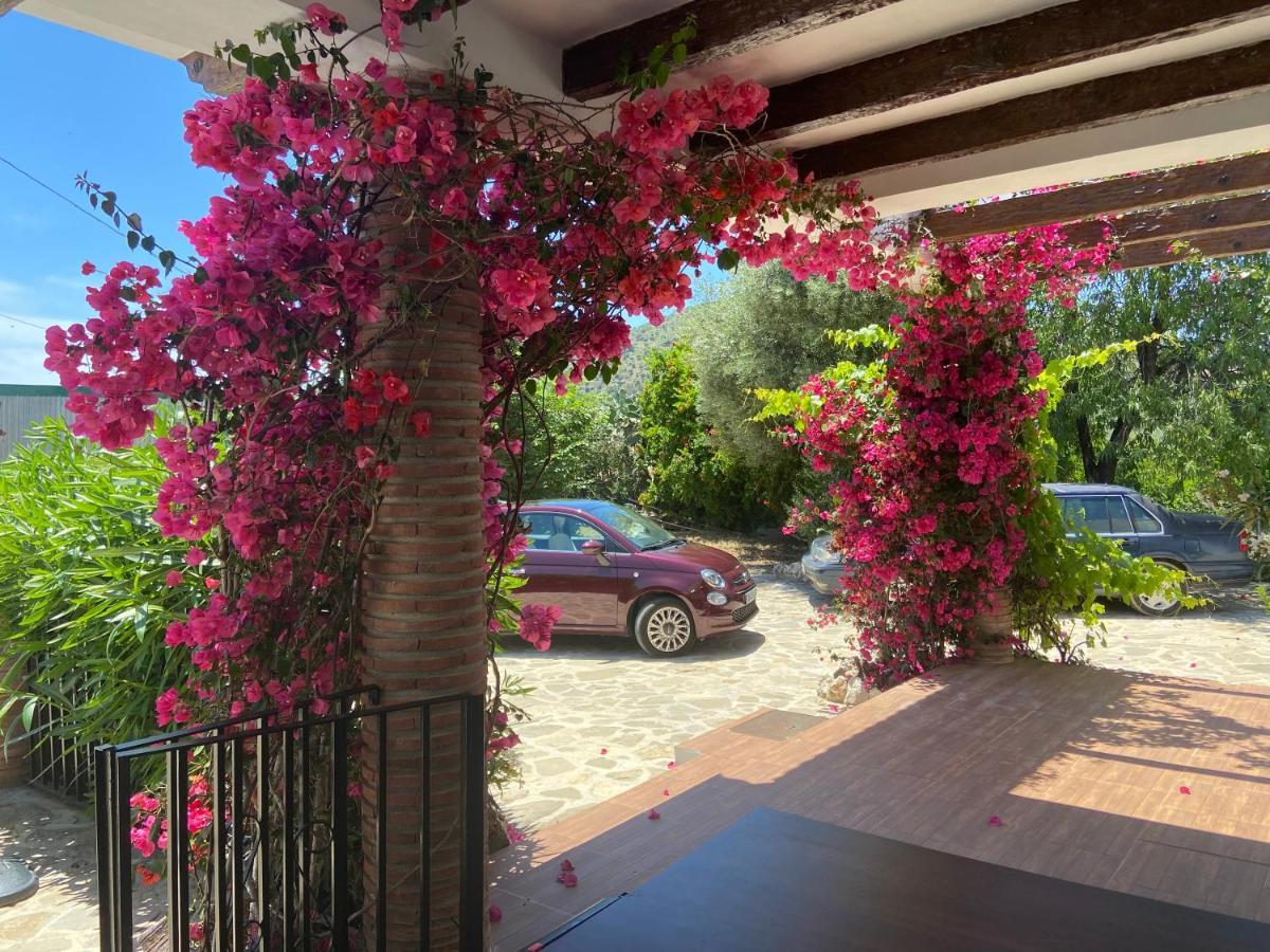 Villa Zahar Периана Экстерьер фото