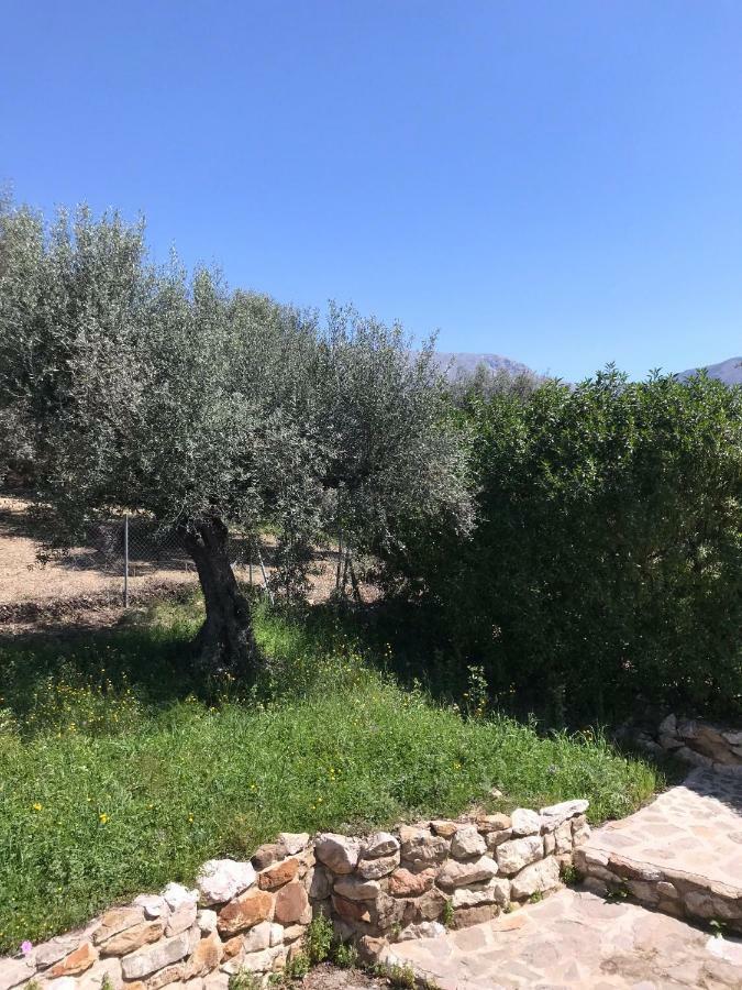 Villa Zahar Периана Экстерьер фото